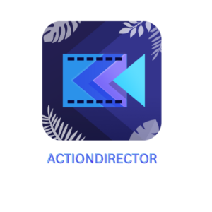 ActionDirector Main Image